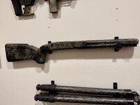 IMG_3834.jpeg
