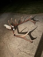 IMG_1031.jpeg