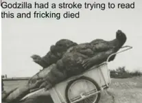 godzilla-had-a-stroke-while-trying-to-read-this-and-****ing-v0-5e2jdjusc5bg1.webp godzilla-had-a-stroke-while-trying-to-read-this-and-****ing-v0-5e2jdjusc5bg1.webp