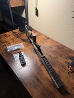 IMG_3638.jpeg
