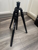 IMG_2999.jpeg