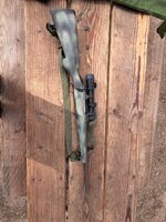 IMG_3208.jpeg