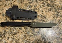 IMG_4482.jpeg