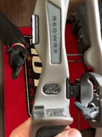 IMG_1322.jpeg