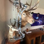 IMG_6178.jpeg
