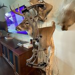 IMG_6176.jpeg