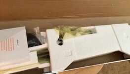 IMG_1065.jpeg