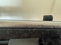 IMG_3305.jpeg
