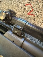 IMG_0059.jpeg