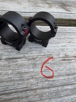 IMG_0068.jpeg