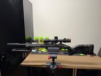IMG_1384.jpeg