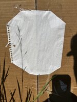 IMG_4863.jpeg