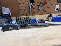 IMG_8614.jpeg