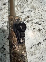 IMG_5968.jpeg