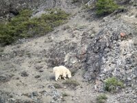 IMG_1469.jpeg