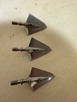 IMG_0769.jpeg