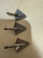 IMG_0768.jpeg
