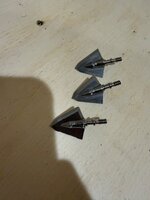 IMG_0765.jpeg