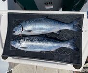 IMG_7824.jpeg
