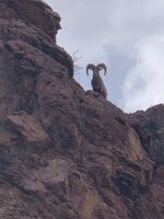 IMG_5863.jpeg