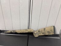 IMG_5742.jpeg