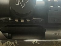 IMG_8088.jpeg