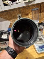 IMG_7016.jpeg