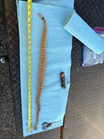 IMG_1058.jpeg