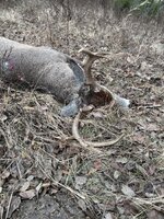 IMG_9749.jpeg
