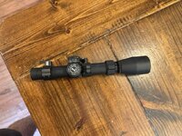 IMG_3169 Medium.jpeg