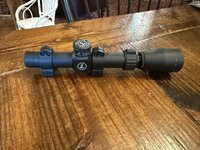 IMG_3168 Medium.jpeg
