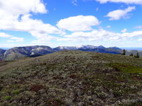 P7052990.JPG