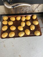 IMG_6664.jpeg