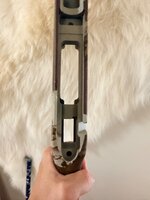 IMG_2164.jpeg