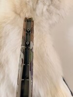 IMG_2165.jpeg