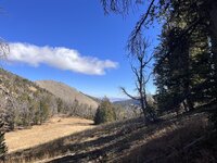IMG_2023.jpeg