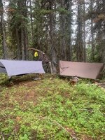 IMG_0353.jpeg