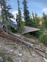 IMG_0302.jpeg