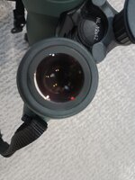 IMG_20260706_200835425.jpg