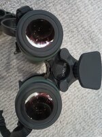 IMG_20260706_200828500.jpg