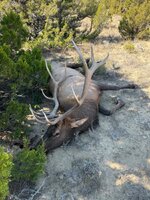 IMG_7288.jpeg