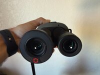 IMG_0205.JPG