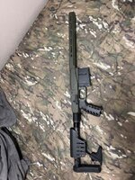 IMG_2254.jpeg