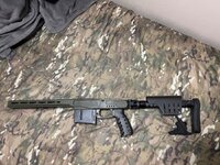 IMG_2253.jpeg