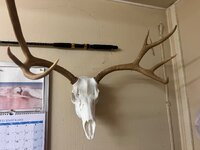IMG_4053.jpeg