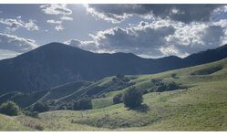 IMG_1506.jpeg