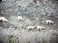 IMG_7709.jpeg