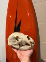 IMG_4060.jpeg
