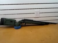 IMG_8349.jpeg