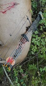IMG_6031.jpeg